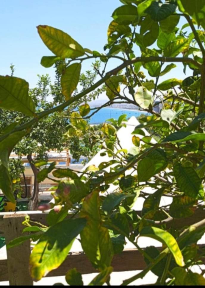 Queens Luxury Glamping Palaiokastro  Екстериор снимка