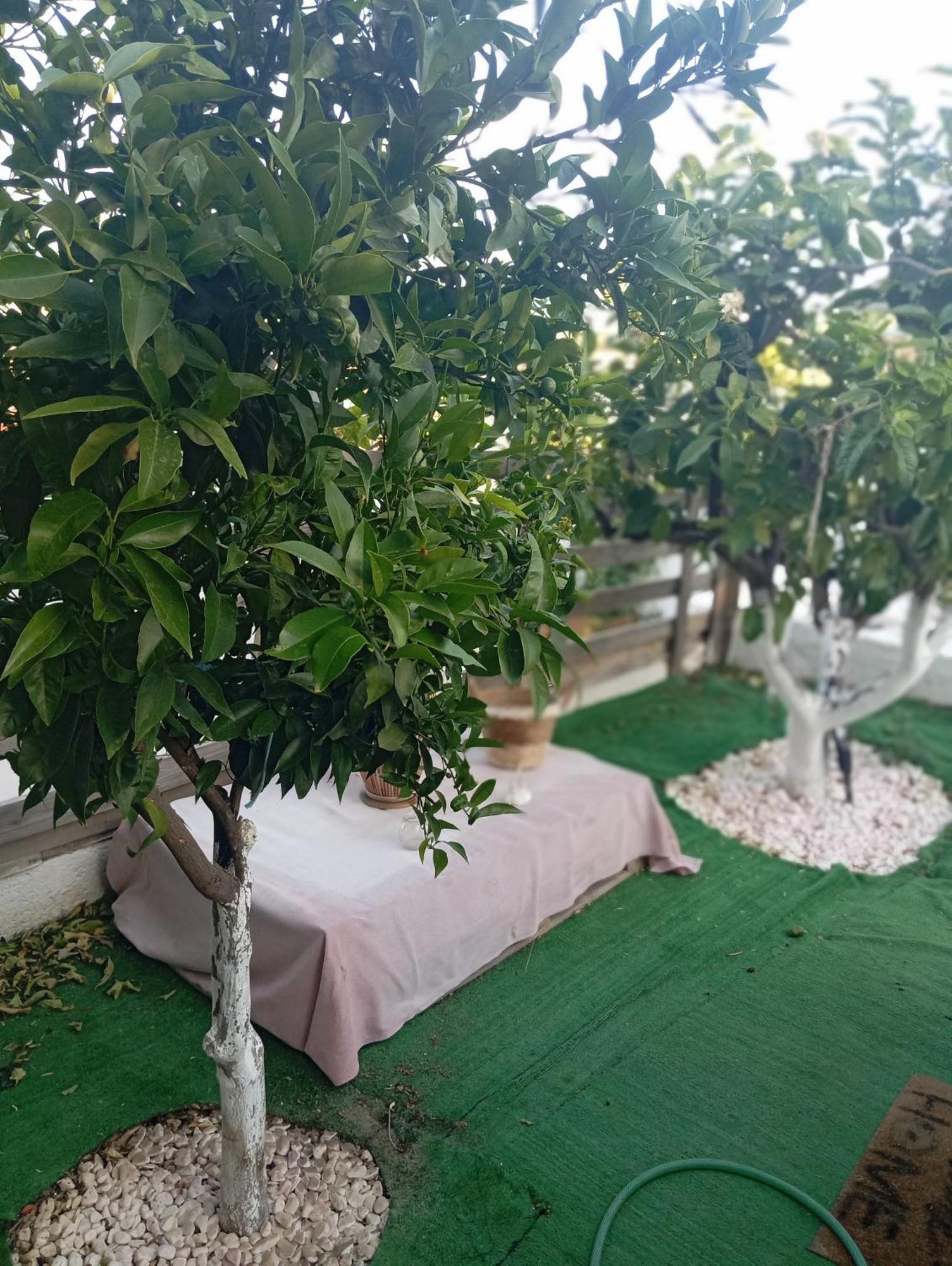 Queens Luxury Glamping Palaiokastro  Екстериор снимка